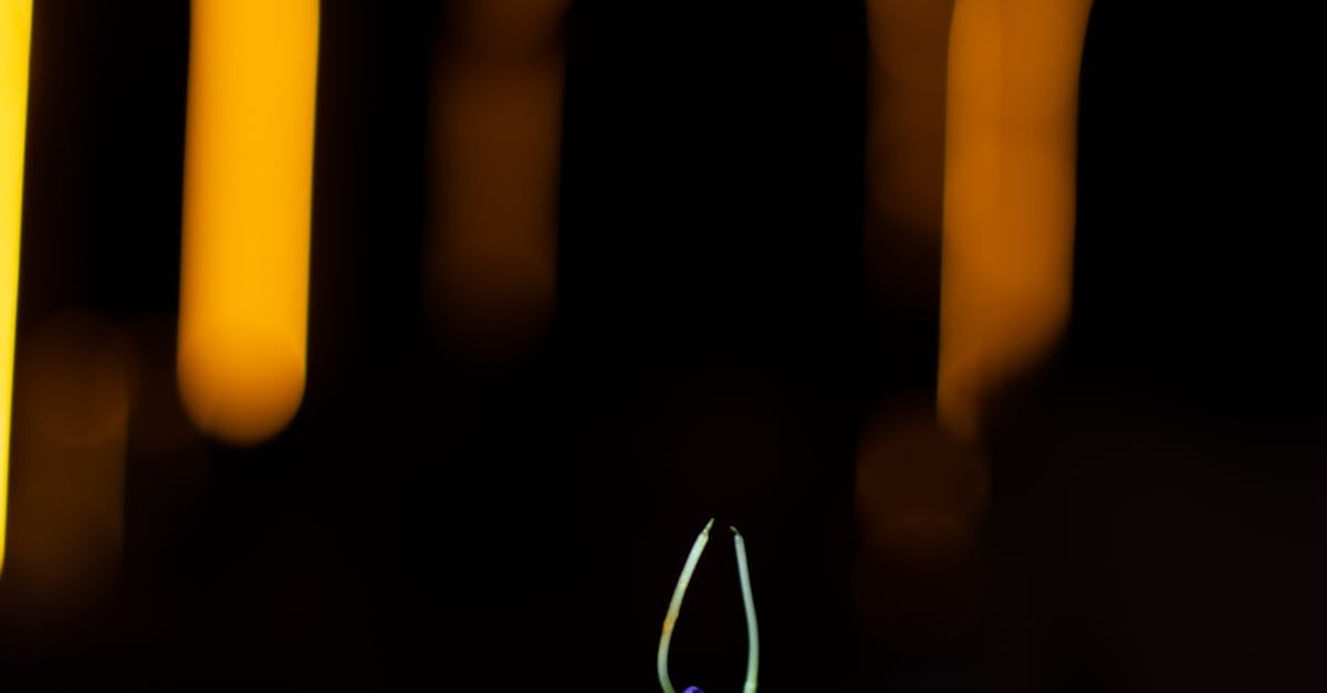 Lassi Flavoured Pavlova: A Sweet Take on Tradition