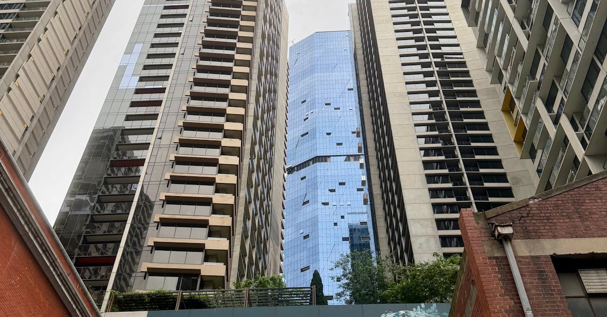 Mapping the Public Transport Options to Enjoy Indian Dining Across Melbourne