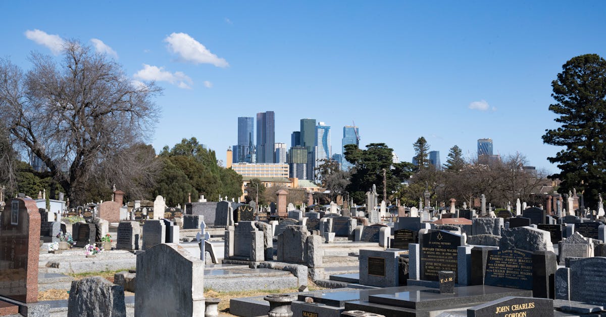 Success Stories: Accessible Experiences at Melbourne's Modern Indian Eateries