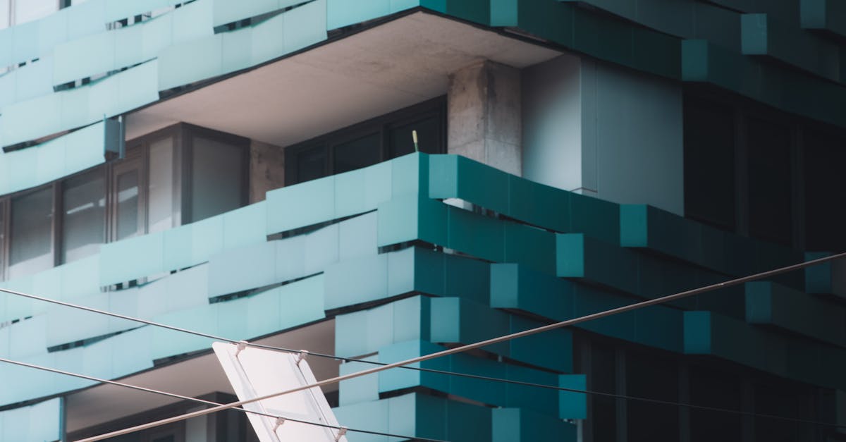 Vegan Versions of Classic Indian Dishes: Melbourne's Innovative Offerings